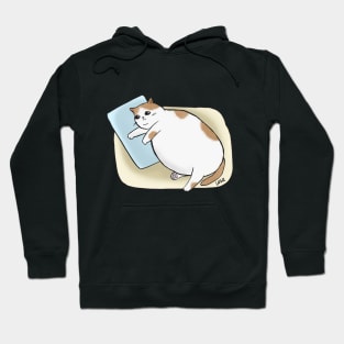 Sad Chonk Hoodie